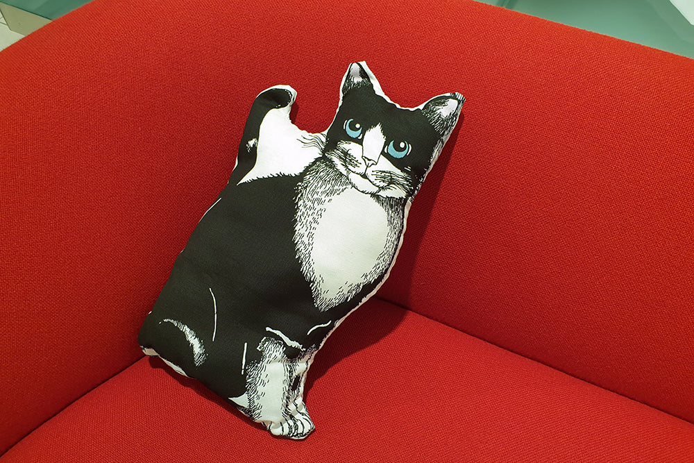 Tee itse veikeä kissatyyny