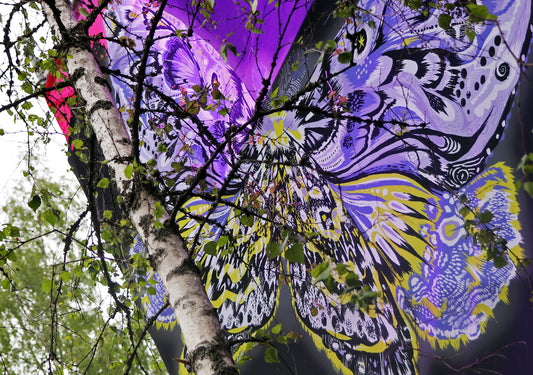 Provinssi on ihmisten, Suomen suven, kimalluksen ja musiikin juhlaa