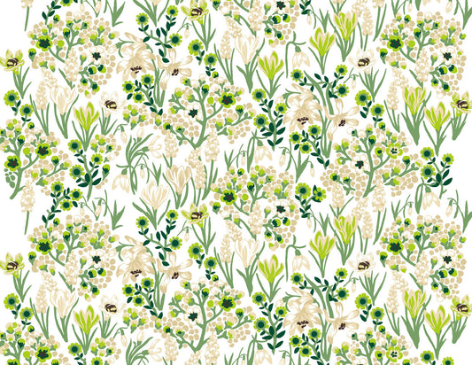 SK24/MUSCARI