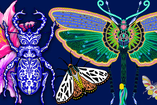 Vallilan festarikesä jatkuu Provinssissa!