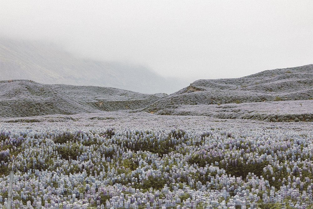 Vallilan SS21 / Kesämuistoja – jaa rakkain kesämuistosi ja voita 100 € lahjakortti