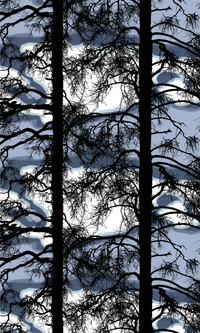 V2800293-6200; Vallila Kelohonka-kangas 150 cm Sininen / 150 cm 