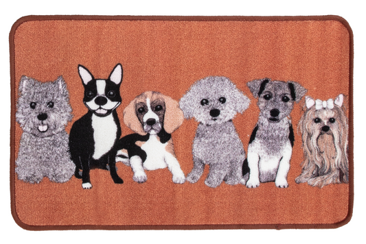 100230-03; Vallila Doggies-kynnysmatto Okra / 50x80 cm 