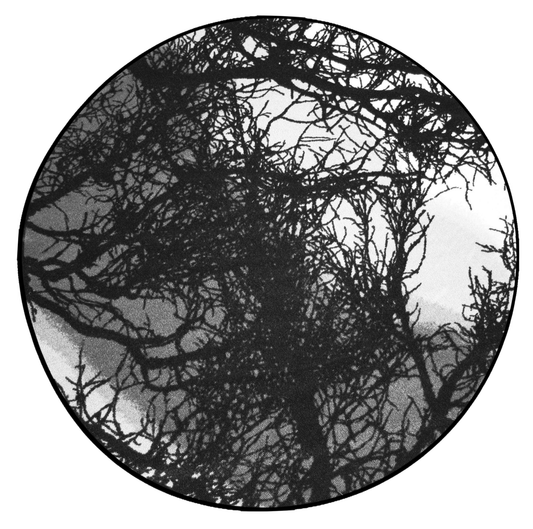 VM000818-69; Vallila Kelohonka-matto Harmaa / Ø133 cm 